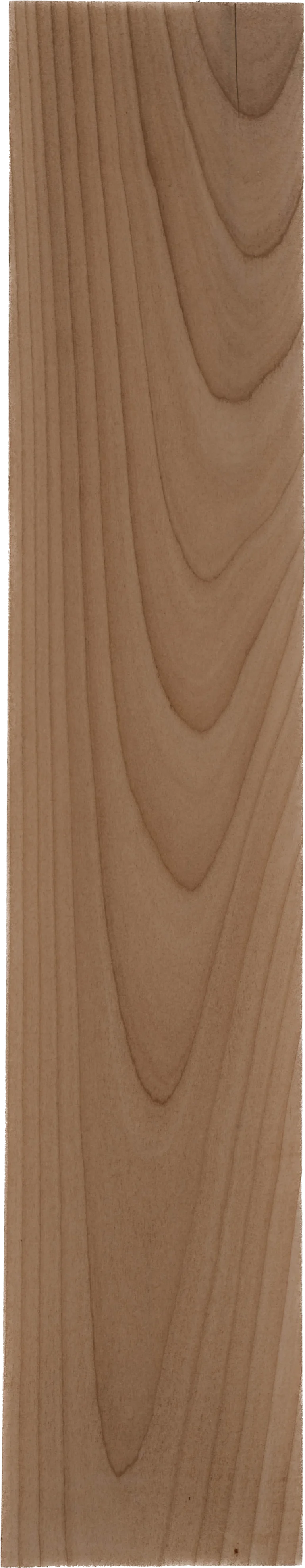 alder wood species Narrow vertical wooden plank with a smooth light-brown surface and repeating V-shaped wood grain patterns.